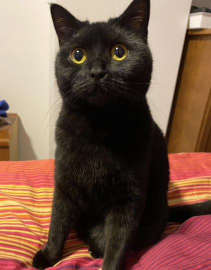 Manoel depois do resgate